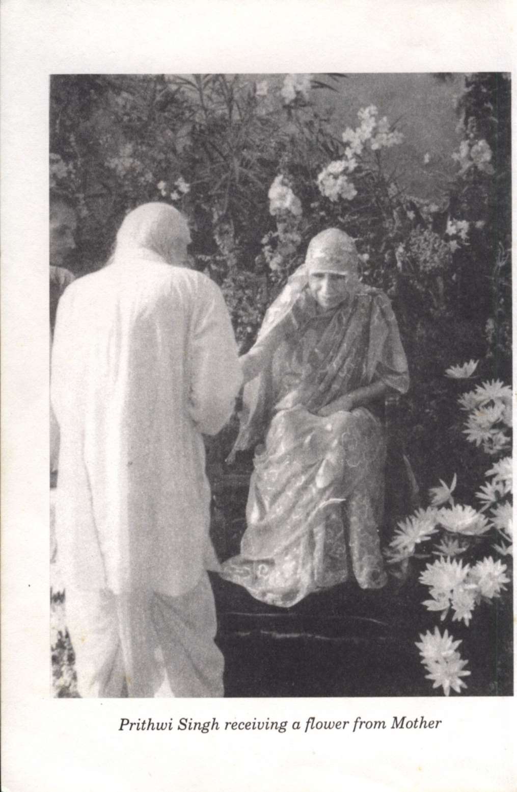 PreContent - 0003-1.jpg